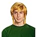 Produktbild Legend of Zelda Link Adult Costume Wig