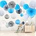 Produktbild Himeland 20er Seidenpapier Blumen PomPoms Set, Wabenbälle Lampions Laternen Fächer Girlande Dekoration, für Hochzeit Party Baby Duschen Geburtstag Bankett Zimmer -Blau Grau Weiß