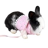 Actividades al aire libre - transpirable para todas las actividades al aire libre, envuelve a la mascota con un nailon suave que mantiene los movimientos naturales de su mascota y aumenta la relación entre usted y sus mascotas.