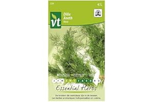 ARBORIX Semi di aneto Hera Organic - Giovani foglie aromatiche