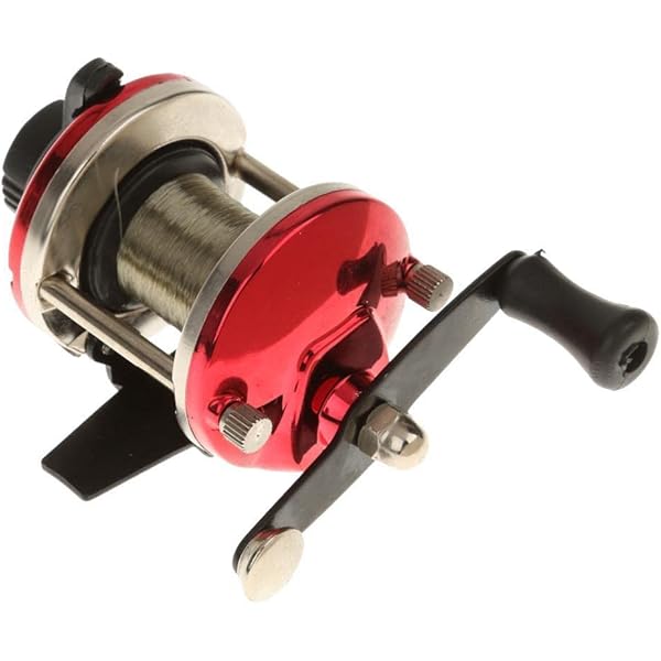 Shimano 21 Calcutta Conquest 100HG (Right-Handed) : Amazon.in