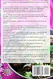 Image de Cuisine d'Asie végétalienne - 10 recettes