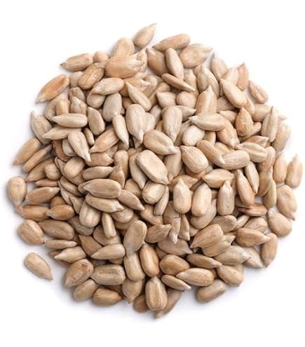 Lyra Pet 25 Kg Graines De Tournesol Noir - Nourriture Oiseaux Sauvages Toute L'Année, Riche En Huile