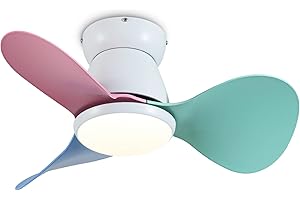 ycwdcz Lámpara Ventilador Techo Pequeña Silencioso DC Ventilador de Techo con Luz y Mando a Distancia Reversible 3 Aspas 3 CCT, para Dormitorio Habitación Infantil