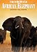 Produktbild A day in the life of an African elephant
