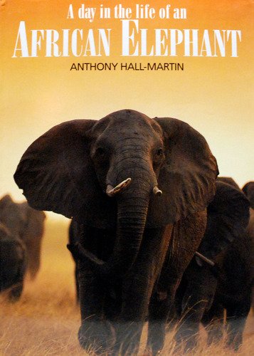 Preisvergleich Produktbild A day in the life of an African elephant