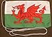 Price comparison product image Wales 15 x 25 CM Tischflagge in professional quality Bootsflagge Motorradflagge Mopedflagge Car Flag USA