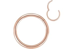 Artskin Anneaux de nez en titane Anneaux de piercing pour le corps Boucles d'oreilles Helix Cartilage Rook 20G 18G 16G, Diamètre 6mm-10mm Noir/Argent/Or/Rose Gold