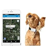 TKSTAR Haustier GPS Tracker mit Kragen, Mini Wasserdichtes GPS Ortung