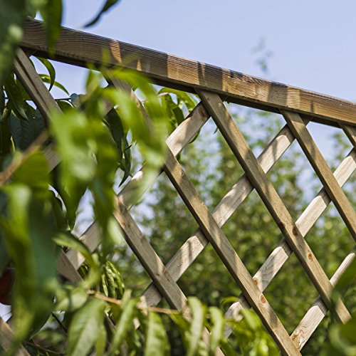 Rankgitter aus Holz Autoklav 1200 x 1800 Trikot 120 mm - 9