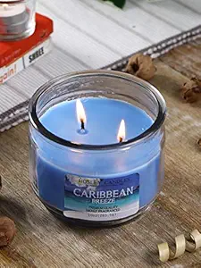 Hosley Caribbean Breeze Highly Fragranced, 2 Wick, 10 Oz Wax, Jar Candle