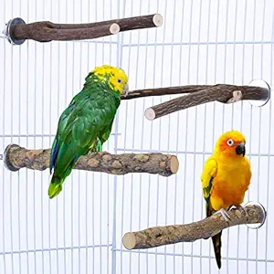 CozyCabin 4 Pcs Bird Perches Parrot Stand, Natural Wood Bird Perch Stand Bird Cage Accessories for Small Budgies Conure Parakeets Cockatiels Lovebirds