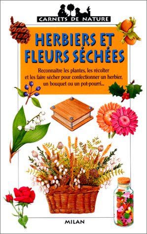 Herbiers et fleurs séchées
