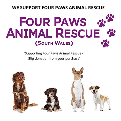 The-Regal-Mutt-500-ml-Salmon-Fish-Oil-for-Dogs--Charity-Donation-to-Four-Paws-Animal-Rescue--100-Natural-Nutritional-Supplement--Pure-Premium-Scottish-Salmon-Oil--Promotes-Coat-Joint-Brain-Health--100