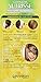 Garnier Nutrisse Multi-Lights Hair Highlighting Kit #H3 Warm Bronze (Cookies ...