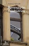 Cover zum Buch Bernstein Verschwörung