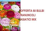 Collezione 75 Bulbi Autunnali Di Tulipani In Miniatura - Mix Di Colori Giallo, Bianco, Rosa, Rosso - Per Aiuole, Giardino E Vasi