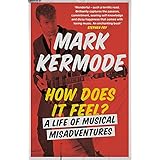 How Does It Feel?: A Life of Musical Misadventures