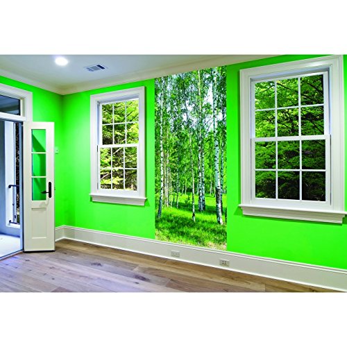 Vlies Fototapete – Birkenhain 110 x 220 cm - 2