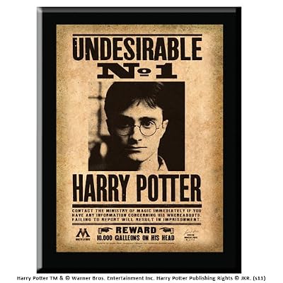Noble Collection Harry Potter Undesirable Plaque