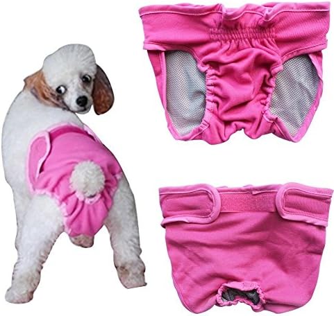 Septven Female Pet Dog Hygienic Sanitary Pants Washable Dry Diaper Nappy Pants Incontinence Protective Brief Underwear Hygiene Pant (XS, Pink)