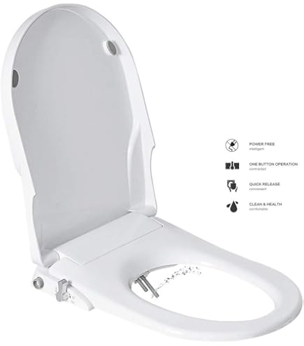 All In One Bidet Toilets - Many Bidets - View #10