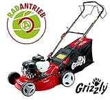 ✓ Hinterradantrieb, 42 cm Schnittbreite, robustes Stahlgehäuse, Primer-Pumpe für einfachen Start