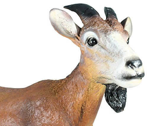 Dekofigur Geißbock Ziege „Bruce“ Gartenfigur Tierfigur Dekoration Garten - 6