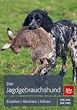 Image de Der Jagdgebrauchshund: Erziehen - Abrichten - Führen (BLV)