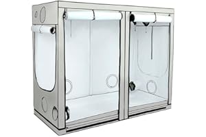 EASTSIDE IMPEX Homebox Ambient R240 (Maße: 240x120x200cm)