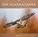 Der Eulenkalender 2019 - Eulen - Owls - Bildkalender (33 x 33) - Tierkalender - Wandkalender by 