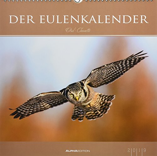Der Eulenkalender 2019 - Eulen - Owls - Bildkalender (33 x 33) - Tierkalender - Wandkalender
