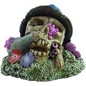 Haquoss Koral Skull 3, 11.5x 8.6x 8.5H cm