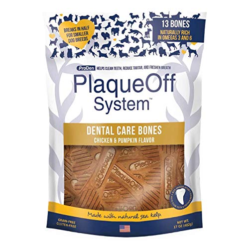 Proden Plaque Off Dental Care Bones Dog Chews - Chicken, Chicken And Pumpkin, 482g