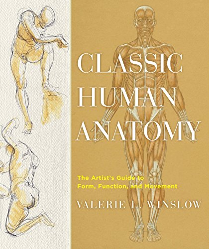 Classic Human Anatomy: The Artist's Guide to Form, Function, and Movement livre