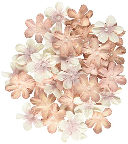 Petaloo Penny Lane Mini Pearl Daisies (40 Pack), 0.75", Antique Mauve RS.1128 (52.00% Off) - Amazon