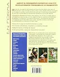 Image de ESTIRAMIENTOS DINÁMICOS (En Forma / in Shape)