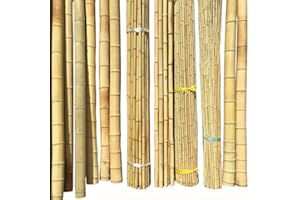 PRIMEDEALS-2Ft/3Ft/4Ft/5Ft/6Ft/7Ft Heavy Duty Gardens Strong Thick Professional Bamboo Plant Support Garden Canes Support Durable (20, 6ft, 14-16mm)