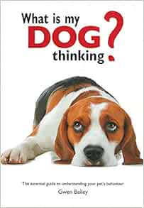 What Is My Dog Thinking The Essential Guide To Understanding Your Pet S Behavior Amazon Co Uk Bailey Gwen 9780785834311 Books