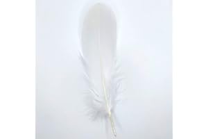 GENERIC Natürliche Federn Gänsefedern, ca. 15-20 cm, 10 Stück, Weiß - Kopper-24 Gans Schwanzfedern Schmuck Dekoration Bastelfedern für Hochzeit Karneval Party Deko Kostüme Natur Basteln
