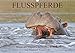 Produktbild Flusspferde Magie des Augenblicks - Hippos in Afrika (Wandkalender 2019 DIN A3 quer): Eindrucksvolle Fotos von den afrikanischen Kolossen - Nilpferde ... (Monatskalender, 14 Seiten ) (CALVENDO Tiere)