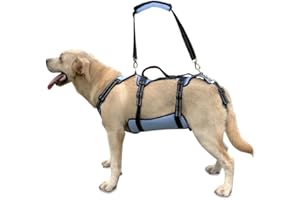 COODEO Uprząż do podnoszenia psów, wsparcie całego ciała i opaska rehabilitacyjna z regulowanymi, oddychającymi paskami dla starszych psów, osób niepełnosprawnych, z zapaleniem stawów, paraliżem lub