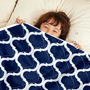 Divine Casa Microfibre All-Weather 120 GSM Printed Reversible Kids Quilt Comforter Blanket - (Dark Blue and Grey)