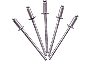 SKIR'CO (100 pezzi) Rivetti ciechi in acciaio inox 3,2 x 8 mm, testa a cupola, rivetti pop, DIN 7337, rivetto A2, mandrino scanalato