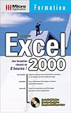 Formation. Microsoft Excel 2000