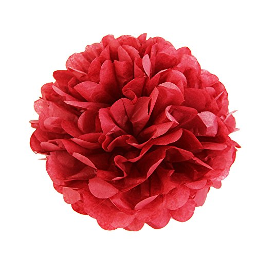 SUNBEAUTY 5er Set 15/20/25cm Tissue Papier Blumen Pompoms Dekoration (15cm, Rot)