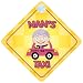 Nan's Taxi Car Sign Funny Novelty Gift / Present Baby on Board Style Sign