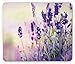Produktbild TANGGOOD Lavendel-Mauspad, Traumhafter Frühlingstag mit frischen Blüten Aromatische zarte Wildblumen, Standardgröße Rechteck Rutschfeste Gummi-Mausunterlage, Lavendel Lila Grün