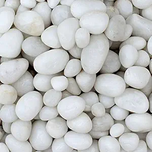 Maalavya Pebbles Glossy Home Decorative Vase Fillers White Stone, 2 KG