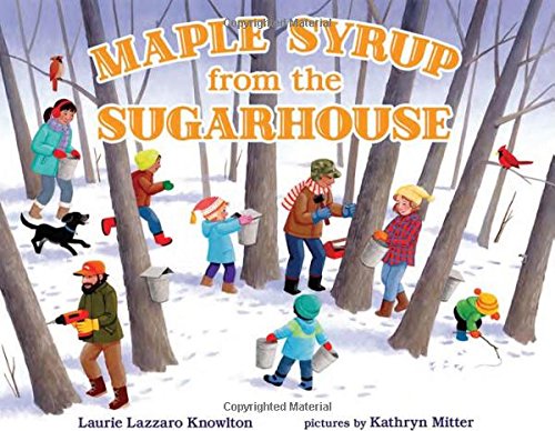 Preisvergleich Produktbild Maple Syrup from the Sugarhouse